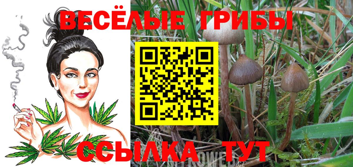 Галлюциногенные грибы прущие грибы  Галлюциногенные грибы Magic Shrooms  где можно купить   Вход с VPN  Серпухов 